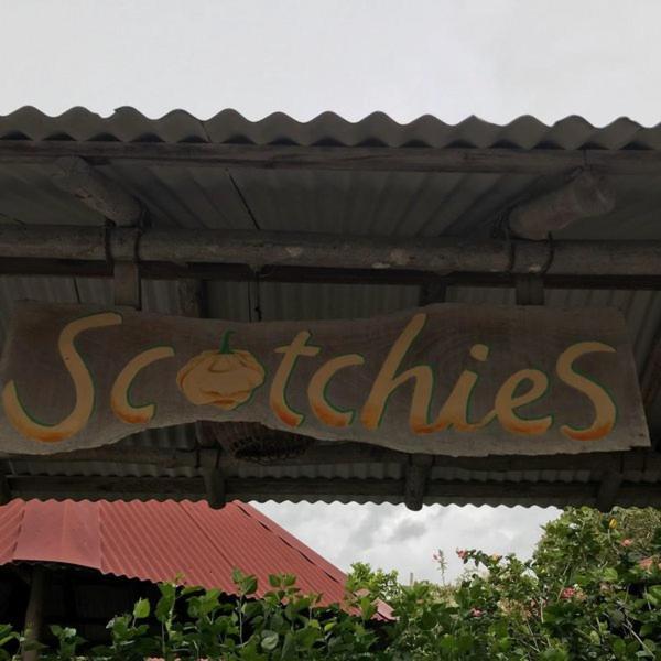 Savannah'S Place Mammee Bay Exterior photo